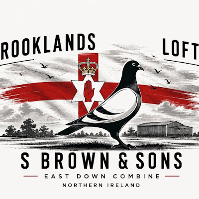 S&S Brown Racing Pigeons logo